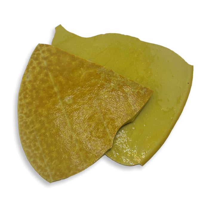 3/16" Thin Cut Tortillas - Mustard