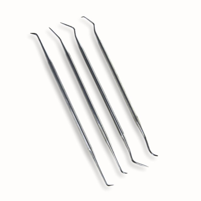 Dental Pics - 4 Piece Set